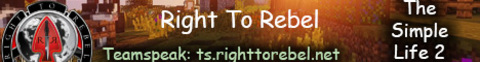 Right To Rebel The Simple Life 2