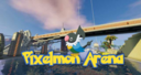 Pixelmon Arena