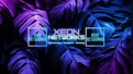 Xeon Networks (NextGenCraft)