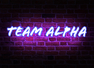 TEAM ALPHA SMP